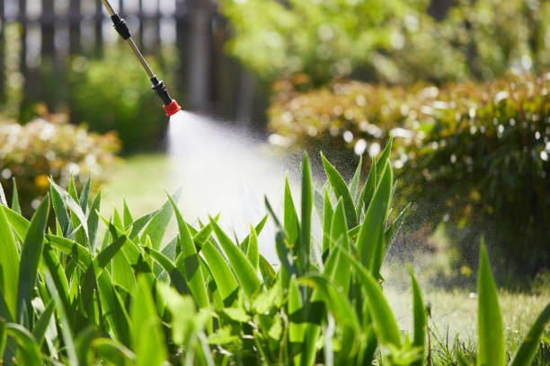 24/7 Emergency Wasp Removal experts in Fairbury, IL