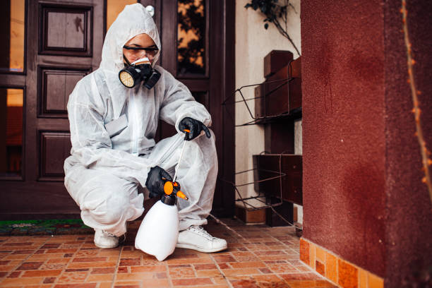 Reliable Wasp Removal contractor in Fairbury, IL by Show Me Pest Control