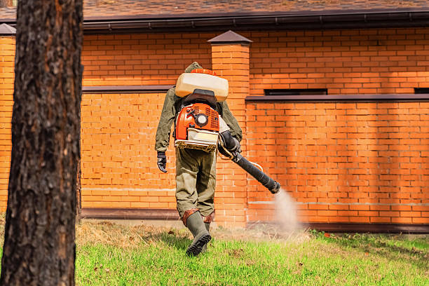 Top rated local Wasp Removal specialists in Fairbury, IL